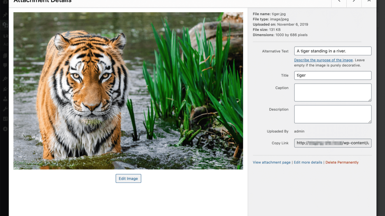 Proven Ways to Find Image ID in WordPress Media Library – Unlock Attachment Numbers Instantly in 2025!